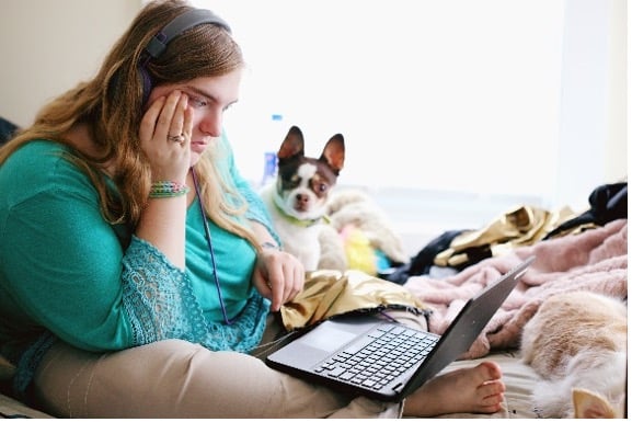 Person sitting on a couch with a laptop and a dog